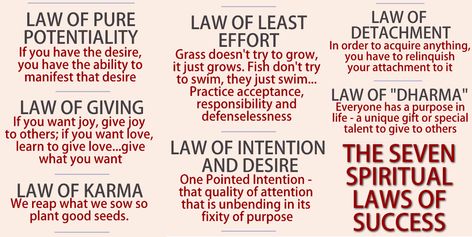 7 Spiritual Laws Of Success, 7 Spiritual Laws, Spiritual Laws Of Success, Laws Of Success, Law Of Detachment, Spiritual Laws, Habits Of Highly Effective People, Laws Of The Universe, Energy Consciousness