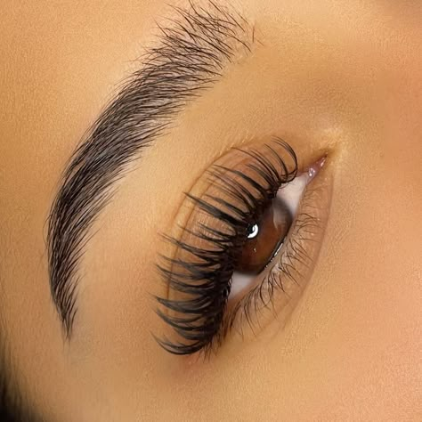 Wet Lash Lash Extensions, The Wet Look Lashes, Wet Looking Eyelash Extensions, Long Wet Lash Look, Lash Wet Sets, Wet Set Lash Extensions Open Eye, Wet Set Extensions, Long Wet Set Lash Extensions, Mascara Effect Lash Extensions