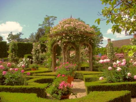 English Rose Garden, English Garden Design, Secret Passageways, Flowers And Greenery, English Rose, English Roses, English Garden, Nature Aesthetic, Shade Garden