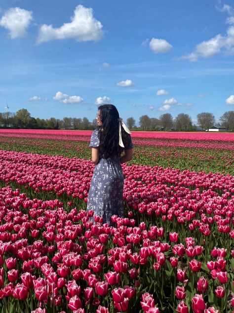 I LOVE SPRING AND TULIP FIELDS Texas Tulips Photoshoot, Tulip Picking Aesthetic, Tulip Picture Ideas, Tulip Field Photo Ideas, Tulip Instagram Picture, Kashmir Tulip Garden Photoshoot, Poses For Tulip Garden, Tulips Field Photoshoot, Tulip Field Picture Ideas