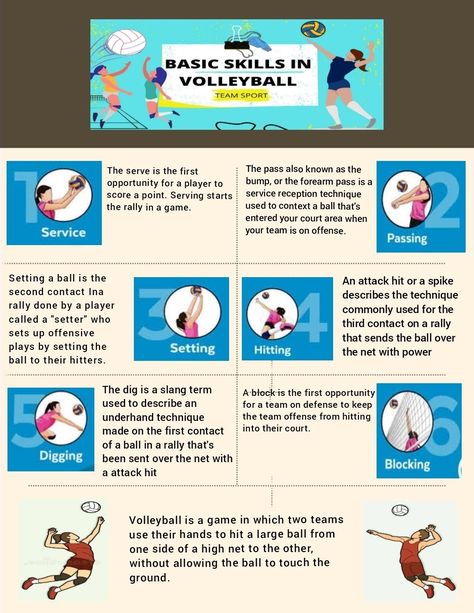 Basics Of Volleyball, Basic Volleyball Rules, Volleyball Basic Skills, Volleyball Infographic, Volleyball Rules And Regulations, Volleyball Terms And Meanings, Lego Infographic, Basic Skills In Volleyball, Rules Of Volleyball