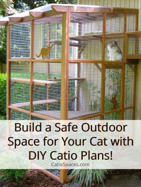 It’s Easy to Build a DIY Catio for Your Cat! - Catio Spaces Cat Patio Ideas, Cat Patios, Catio Plans, Diy Cat Enclosure, Cat Playground Outdoor, Catio Ideas, Cat Enclosures, Cat Pen, Cat Patio