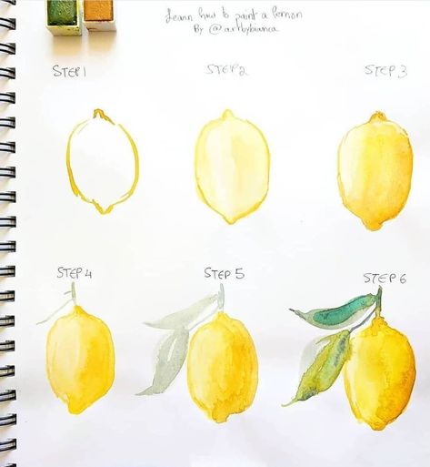 Art Tutor, 귀여운 음식 그림, Watercolour Flowers, Blog Art, Watercolor Paintings For Beginners, Watercolor Fruit, Painting Canvases, Amazing Paintings, Watercolor Paintings Easy