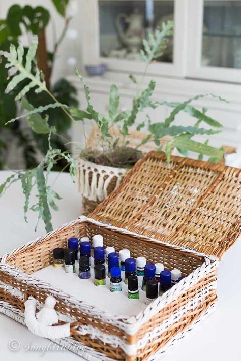 Making essential oils