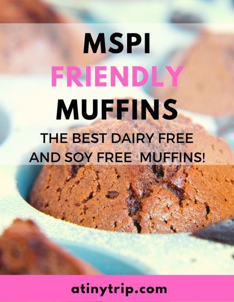 MSPI Friendly Muffins - These dairy free, soy free muffins are easy, healthy and so yummy. Don't feel deprived on the mspi diet, just try this easy muffin recipe! #muffins #muffinrecipes #mspi #dairyfree #soyfree Dairy And Soy Free Recipes Breastfeeding, Gluten And Soy Free Recipes, Giambotta Recipe, Soy And Dairy Free Recipes, Dairy Free Soy Free Recipes, Pannekoeken Recipe, Food52 Recipes, Mspi Diet, Mspi Recipes