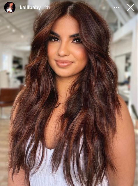 Full Balayage Brunettes Dark Brown, Summer Highlights For Dark Brown Hair, Brown Summer Hair, Rambut Brunette, Warm Brunette, 2023 Hair, Dye Ideas, Fall Hair Color For Brunettes, Hair Color For Brunettes