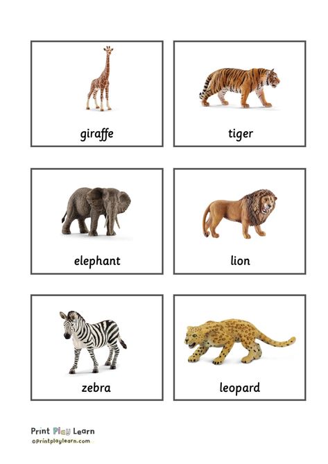 Montessori Animal Cards Free Printable, Zoo Animal Flashcards Free Printable, 3rd Worksheets, Animal Classification For Kids, Printable Animal Pictures, Jungle Animals Printable, Animal Flash Cards, Animal Pictures For Kids, Animals Cards