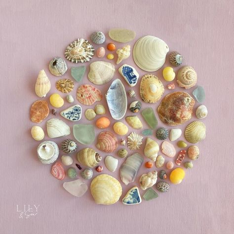 Sea Glass Art Projects, Seashell Wall Art, Beautiful Frames, Hobbies To Try, Glass Art Projects, Sea Glass Crafts, Seashell Art, Fallen In Love, November 3