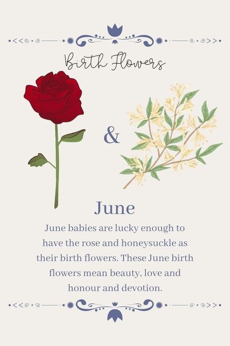 Birth Flowers Meaning, June Flowers Birth, June Tattoos Ideas Birth Month, Roses And Their Meanings, June Birth Tattoo Ideas, Tattoo June Birth Month, Flower For June Birth Month, Rose And Honeysuckle Tattoo Birth Month, Honeysuckle Flower Meaning