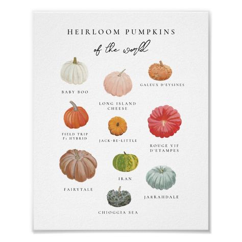 Heirloom Pumpkins Art Print Heirloom Pumpkins, Pumpkins Art, Aesthetic Fall Decor, Gift Card Bouquet, Pumpkin Varieties, Holiday Card Diy, Painted Pumpkin, Happy Holiday Cards, Halloween Party Invitation