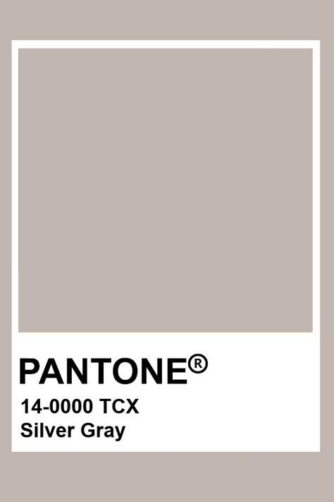 Pantone Silver Gray Silver Pantone, Hotel Mood Board, Modern Farmhouse Bohemian, Grey Aesthetics, Withered Rose, Coquette Art, Pantone Color Chart, Snorkel Blue, Color Knowledge