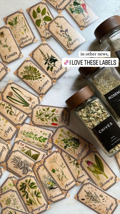 Labeling Ideas Organization, Apothecary Spice Jars, Spice Jars With Labels, Herb Shop Ideas, Aesthetic Spice Jars, Apothecary Business Ideas, Apothecary Label Design, Apothecary Kitchen Decor, Herb Shop Aesthetic