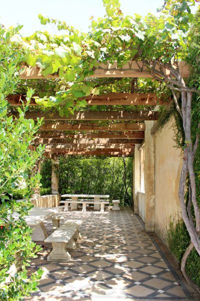 Vine Plants As Shade Cover: Creating Shade With Vining Plants - Trees are not the only plants that can be used to shade hot, sunny areas in the summer. Structures like pergolas, arbors and green tunnels have been used for centuries to hold up vines that create shade. Learn about using vine plants as shade cover here. Pergola Modern, Diy Patio Cover, Creepers Plants, Cheap Pergola, Backyard Shade, Building A Pergola, Gravel Path, Pergola Design, Garden Vines