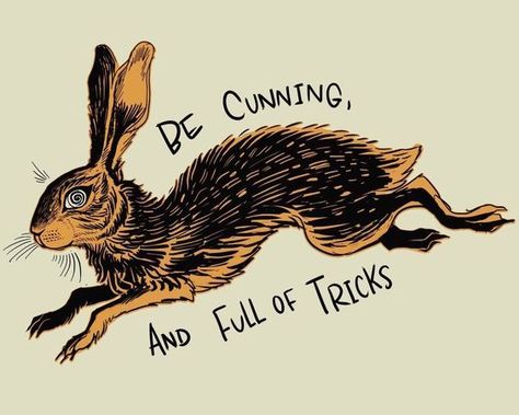 Ezreal League Of Legends, Watership Down, Jack Rabbit, Rabbit Art, The Villain, Tattoo Inspo, Animal Drawings, Rabbits, Art Stuff