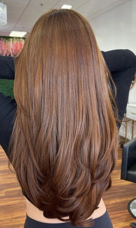 Honey Tones Hair, Caramel Highlights On Auburn Hair, Kdrama Hair Color, Ginger Tinted Hair, Honey Brown Hair Medium Length, Orange Ish Brown Hair, Honey Chocolate Brown Hair, Hair Colour Copper, Solid Color Brown Hair