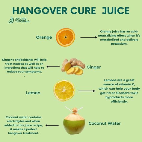 Juicing Tutorials | Juice Recipes on Instagram: "If you are experiencing hangover symptoms in the morning, then try this hangover juice recipe that contains ingredients like lemon, ginger root, oranges, and coconut water. This hangover juice recipe has the right mix of ingredients that will help with your dehydration as well as make sure you are getting enough vitamins throughout the day! Ingredients: 2 Oranges 1 inch piece ginger 1 lemon 1/2 cup coconut water Want more information on delici Hangover Juice, Easy Juicing Recipes, Lemon Mint Juice, Hbcu Homecoming, Hangover Symptoms, Cider Vinegar Drink, Lemonade Juice, Vinegar Drink, Nurse Notes