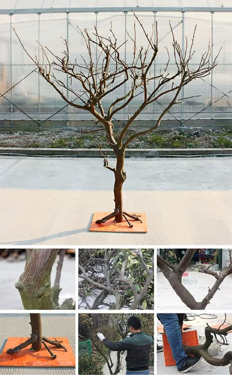 Diy Tree Branch Decor With Lights, Dry Tree Branches Decoration, Tree Branch Crafts, Dried Tree Branches, Tree Branch Centerpieces, Branch Centerpieces, Artificial Olive Tree, Artificial Flower Wall, Tree Branch Decor