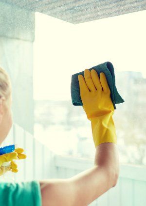 How to Remove Paint from Glass - Cleaning a Window Paint Glass Windows, Remove Paint From Glass, How To Paint Glass, How To Remove Paint, Homemade Toilet Cleaner, Window Washing, Clean Baking Pans, Remove Paint, Window Views