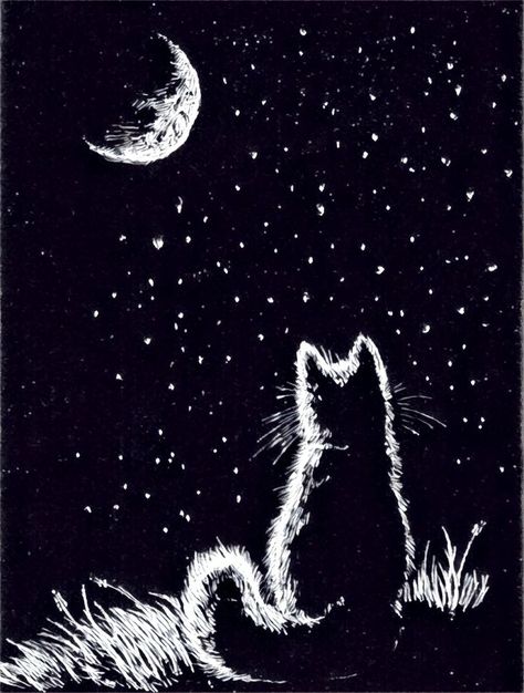 Lunaticat Scratchboard Art, Black Paper Drawing, 강아지 그림, Scratch Art, White Drawing, Black Cat Art, Cats Illustration, Paper Drawing, Black And White Drawing