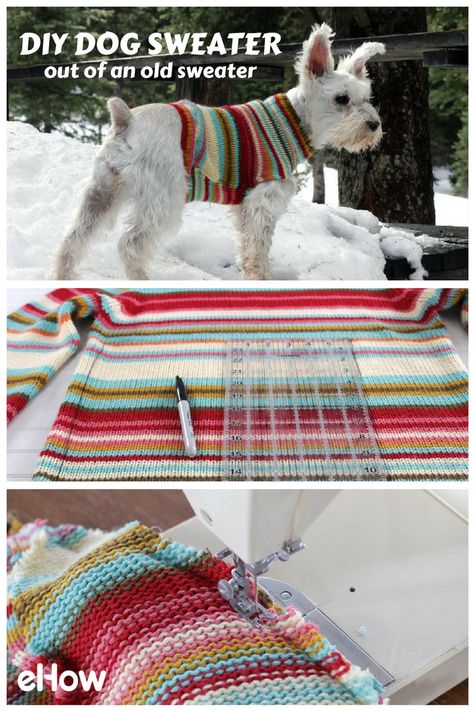 Use an old sweater in your closet and upcycle it into the perfect winter wear for your fury friend! Keep them warm and stylish with this easy DIY! #dogdiy Diy Dog Sweater, Dog Clothes Patterns Sewing, Dog Coat Pattern, Dog Sewing Patterns, Dog Sweater Crochet Pattern, Dog Sweater Pattern, Dog Jersey, Dog Clothes Diy, Crochet Dog Sweater