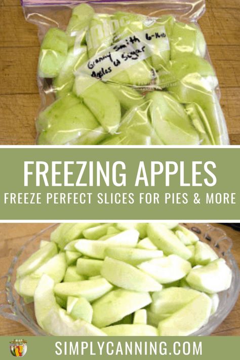 Freezing apples can be done in many ways. SimplyCanning.com shares tips and tricks for 3 different ways that you can preserve your apples in the freezer for easy use later. #SimplyCanning #FreezingApples #Apples Keep Apples From Turning Brown, How To Freeze Apples, Freezing Apple Pie, Freeze Apples, Freezing Food Guide, Preserving Apples, Freezing Vegetables, Freezing Fruit, Freezing Apples