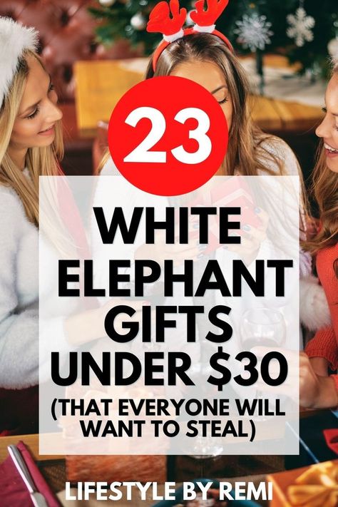 White Elephant Gifts People Want, White Elephant Gift Exchange Ideas Funny, White Elephant Gift Ideas Funny, Work White Elephant, Elephant Gift Exchange Ideas, Elephant Gifts Christmas, Boyfriend Holiday, Work Gift Exchange, Yankee Swap Gift