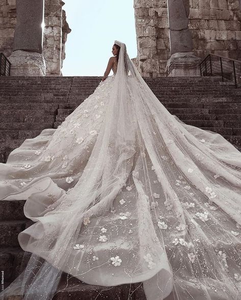 Wedding Dress Extra Long Train, Big Wedding Dresses With Long Trains, Royal Ball Gown, Long Sleeve Ball Gown Wedding Dress, Long Gown For Wedding, Long Sleeve Ball Gowns, Sheer Wedding Dress, Dresses African, Wedding Dresses With Flowers