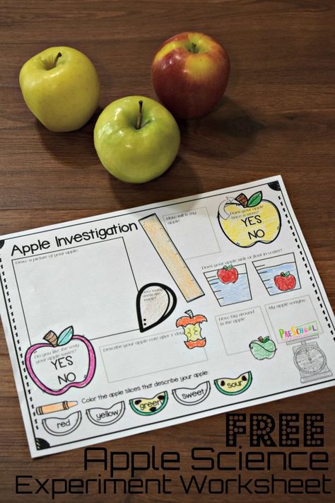 FREE Apple Science Experiment Worksheet - free science printables in this easy science experiments for preschool, prek, kindergarten, and first grade kids. This is perfect for back to school, fall, and September! #preschool #scienceisfun #apples Apple Science Experiments Kindergarten, Preschool Apple Experiments, Science With Apples, Apple Stem Preschool, Apples Activity Preschool, Apple Units For Kindergarten, Easy Fall Science Experiments, Apple Investigation First Grade, Science Apple Activities Preschool