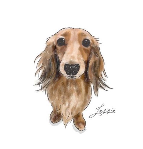 Watercolor Dachshund Painting, Daschund Watercolour, Daschund Art, Dachshund Watercolor, Dachshund Portrait, Painting Clipart, Dogs Watercolor, Dachshund Drawing, Dachshund Painting