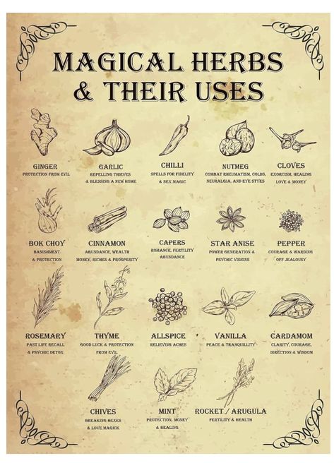 Herb Poster, Herbs Poster, Witch's Kitchen, Garden Witch, Magickal Herbs, Witch Garden, Magic Herbs, Magical Herbs, Hedge Witch