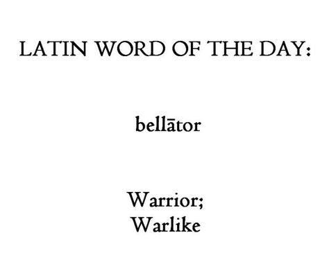 Warrior in Latin Latin Phrase Tattoos, Phrase Tattoos, Latin Quotes, Latin Language, Latin Phrases, Latin Word, Rare Words, Latin Words, Tattoos Ideas