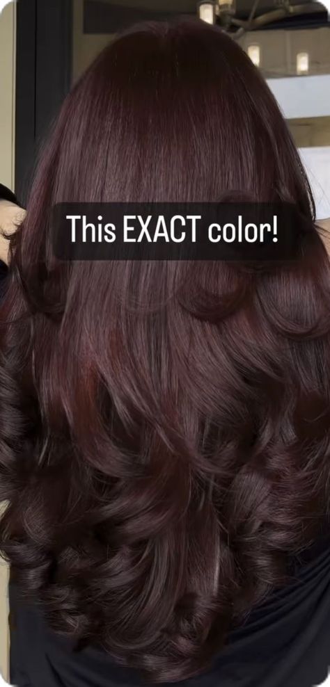 Should I Dye My Hair Black, Cherry Chocolate Hair On Brown Skin, Dark Cherry Red Hair With Highlights Chocolate Brown, Cherry Chocolate Hair With Highlights, Short Cherry Brown Hair, Dark Brown Hair Red Tint, Cola Red Hair Color, Dark Chocolate Cherry Brown Hair, Cherry Coke Highlights