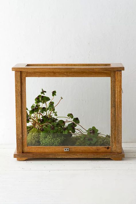 Gardening & Landscaping Tools | Outdoor Accessories | Anthropologie Wardian Case, Plant Mister, Urn Planters, Gardening Apron, Wedding Engagement Gifts, Terrarium Plants, Glass Terrarium, Creative Living, Gardening Supplies