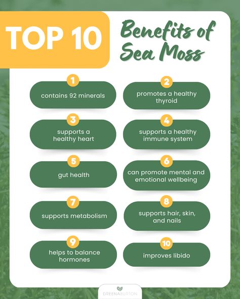 Learn about the nutritional benefits of Irish Sea Moss, Chaga and Lion's Mane, and a new way to consume sea moss! Irish Sea Moss Benefits, Sea Moss Benefits, Chaga Tea, Snacks Savory, Irish Sea Moss, Plant Based Lunch, How To Thicken Sauce, Recipes Healthy Snacks, Holiday Food Ideas