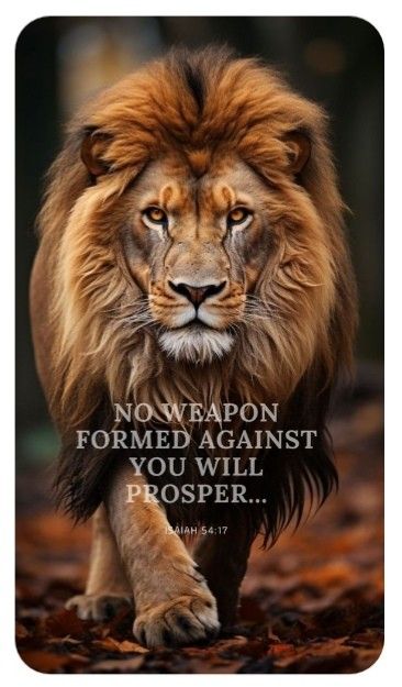 Lion Bible Verse, Courts Of Heaven, Lion Of Judah Jesus, Lion Quotes, Secret Societies, Bible Quotes Images, Christian Images, Powerful Bible Verses, Like A Lion