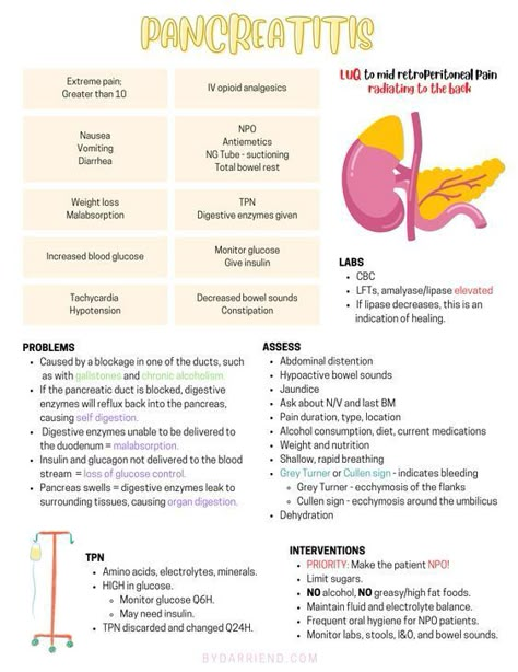 Pancreatitis #nursingstudent #nurse #resources - Image Credits: Darrien D. | Nursing School | Study Notes | Nurse Aesthetic Gi Disorders Nursing, Nursing Notes Aesthetic, School Study Notes, Study Journal Ideas, Nursing Study Notes, Pathophysiology Nursing, Study Motivation Tips, Nursing School Studying Cheat Sheets, Learning Hacks