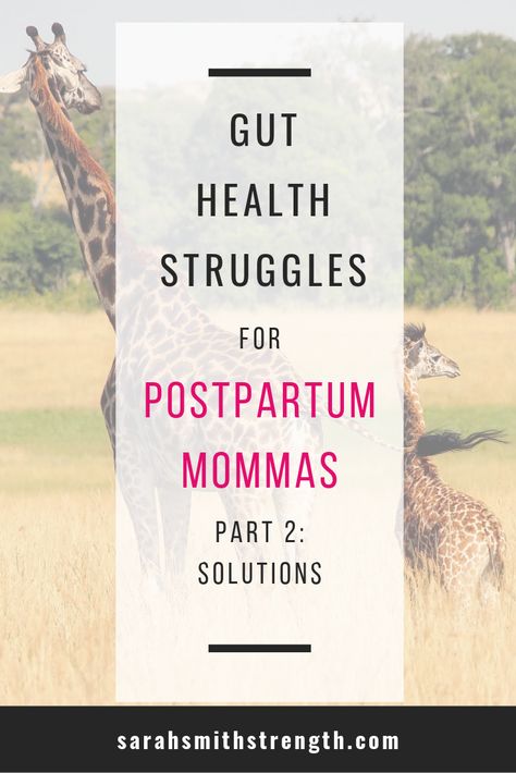 So you read Part 1 and all about WHY we may struggle with gut health and digestion after baby, but now let’s talk about solutions! Heal Your Gut, Pelvic Organ Prolapse, Health Topics, Post Pregnancy, Post Baby, After Baby, After Pregnancy, Fat Burning Foods, Pelvic Floor