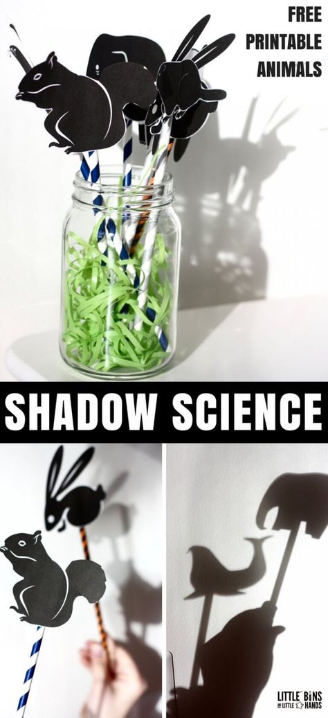 Set up simple and fun science with animal silhouette puppets! Check out this cool shadow science physics activity perfect for playful science kids will love! Fun all year long or as a special Ground hogs day activity. This shadow science activity includes free printable animal sheets. Shadow Science Activities, Animal Science Experiments, Shadow Experiments, Ground Hogs Day, Shadow Activities, Ground Hogs, Groundhog Day Activities, Groundhogs Day, Science Kids