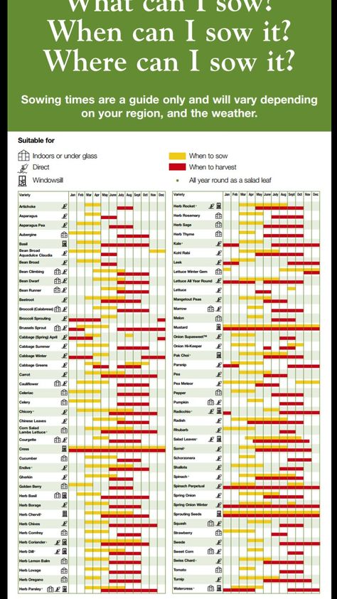 Vegetable Growing Calendar, Direct Sow Vegetables, When To Sow Seeds Indoors, Veggie Garden Layout, Seed Raising, Vegetable Garden Planner, Planting Calendar, Vegetable Garden Raised Beds, Backyard Garden Layout