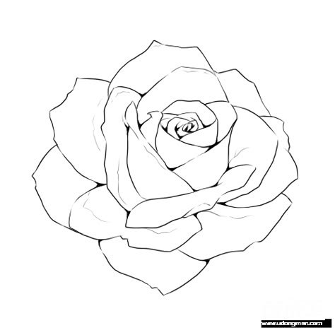 Rose Line Drawing, Ako Kresliť, Draw A Rose, Drawing Rose, Flower Line Drawings, Flower Drawing Tutorials, Drawing Template, Drawing Flowers, Rose Drawing