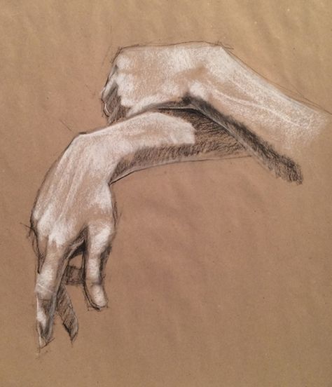 Hand Studies, Brian Smith, Vine Charcoal, Drawing Charcoal, I Am An Artist, High School Art, Want To Draw, White Chalk, Ap Art