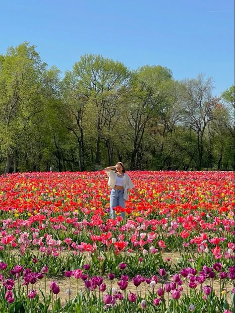 tulip farm date Flower Park Outfit, Tulip Pictures Outfit, Flower Field Picture Ideas, Tulip Picture Ideas, Tulip Festival Photoshoot Outfit, Tulip Outfit Aesthetic, Flower Field Outfit Ideas Jeans, Tulip Field Outfit, Amsterdam Tulips Outfit