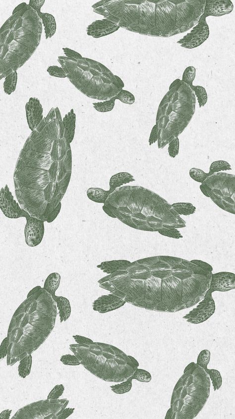 Beach Background Aesthetic Landscape, Cute Wallpapers Turtle, Aesthetic Wallpaper Turtle, Safari Wallpaper Iphone, Turtle Aesthetic Wallpaper, Iphone Wallpaper Animals, Turtle Wallpaper Aesthetic, Turtle Wallpaper Iphone, Sea Turtles Wallpaper