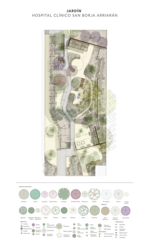 Gallery of Healing Gardens: Nature as Therapy in Hospitals - 9 Healing Garden Design, Therapy Garden, Trees Architecture, Masterplan Architecture, Landscape Diagram, Landscape Architecture Graphics, Landscape Architecture Plan, Landscape Design Drawings, Garden Site