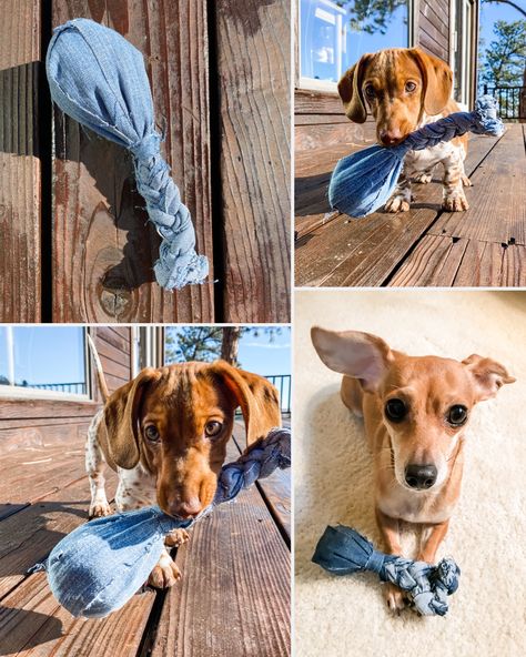 DIY Denim Turkey Leg Dog Toy Jean Dog Toys Diy, Denim Dog Toys Diy, Fleece Dog Toys, Felt Dachshund, Dachshund Ornament, Turkey Leg, Pet Crafts, Dog Accesories, Felt Dog