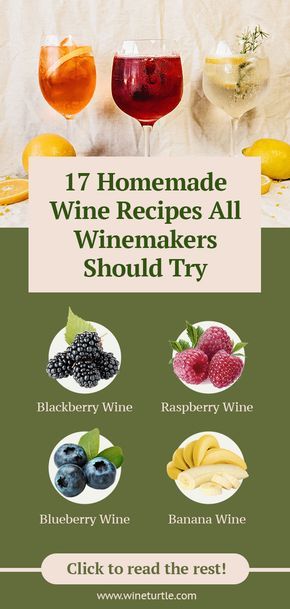 Do you love to make your own homemade wines? In this post, we will be sharing 17 homemade wine recipes you should try!   #typesofwine #winerecipes, wine recipe Fruit Wine Recipes, Banana Wine, Home Made Wine, Wine Making Recipes, Homemade Wine Recipes, Blueberry Wine, How To Make Wine, Raspberry Wine, Mead Recipe