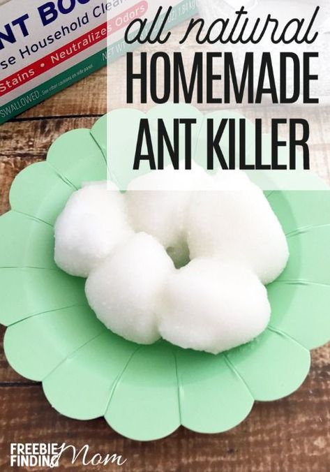 Are you hosting some uninvited guests at your home? I’m talking about ants. Eliminate these pests with a natural pesticide that is non-toxic and safe for your family and pets by making this homemade ant killer recipe. You need just sugar, Borax, water, cotton balls, and a small plate to learn how to kill ants naturally. In only a few minutes you have natural pest control! Kill Ants Naturally, Ant Killer Recipe, Homemade Ant Killer, Dollar Diy, Kill Ants, Rid Of Ants, Natural Pesticides, Get Rid Of Ants, Ant Killer