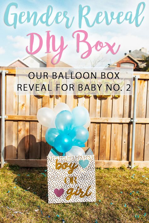 Balloon Box Gender Reveal Diy, Ballon Box Gender Reveal, How To Make A Gender Reveal Box Diy, Balloon Gender Reveal Ideas Boxes, Diy Gender Reveal Box Balloons, Gender Reveal Balloon Box Ideas, Gender Reveal Box Ideas Diy, Box Gender Reveal Ideas, Gender Reveal Box Of Balloons