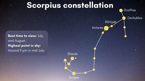 Scorpius constellation: Facts about the Scorpion | Space Scorpius Constellation, Constellations In The Sky, School Grades, Grade 6, Zodiac Constellations, Star Sky, Bright Stars, Reference Images, High Point