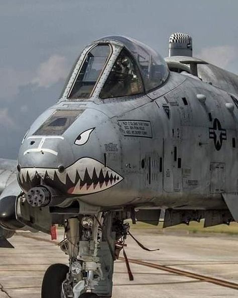 Military Aircraft — Nemesis of tanks -A10 Warthog ! A10 Warthog, A 10 Warthog, Jet Fighter Pilot, Airplane Fighter, Military Hardware, Air Fighter, Air Craft, Military Jets, Aircraft Art